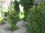 Dean Garnier's Garden